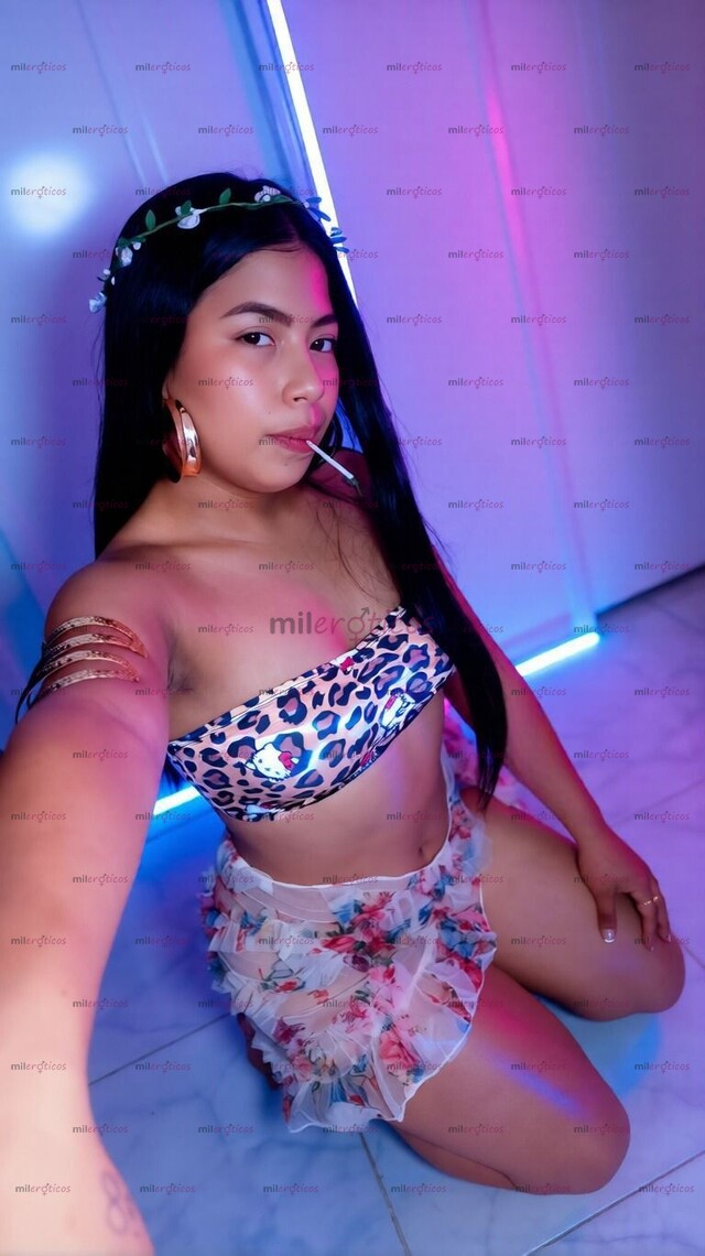 FOTOS DE PERRITA DELICIOSA Y MOJADA BUSCA SER MONTADA