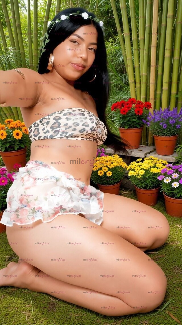 FOTOS DE PERRITA DELICIOSA Y MOJADA BUSCA SER MONTADA