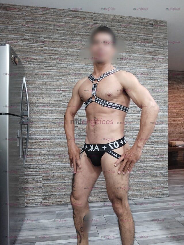 FOTOS DE FORÁNEO CACHONDO BISEXUAL VERGUDO ÚLTIMA SEMANA EN MZT