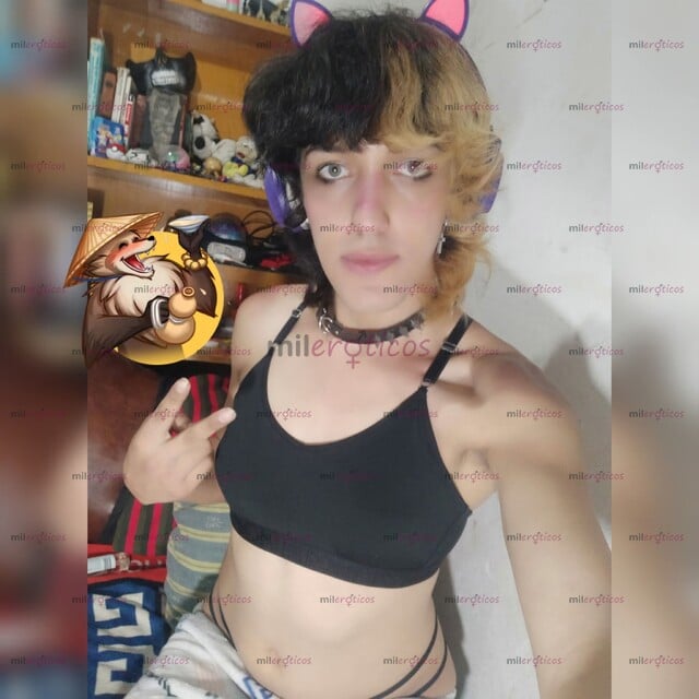 FOTOS DE TSQ MAKI MORNINGSTAR WEBCAM MODEL GATITA HOT VIDEOS DE LA MÁS ALTA CALIDAD