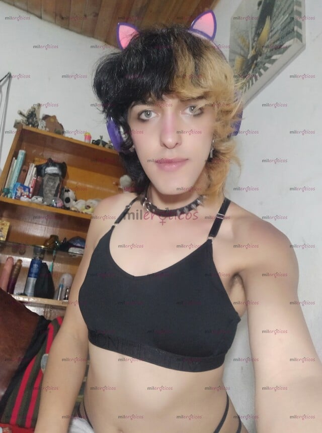FOTOS DE TSQ MAKI MORNINGSTAR WEBCAM MODEL GATITA HOT VIDEOS DE LA MÁS ALTA CALIDAD