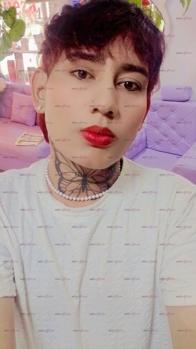 FOTOS DE CHICO FEM BOY DISPUESTO PARA Q VIVAMOS EXPERIENCIAS UNICAS