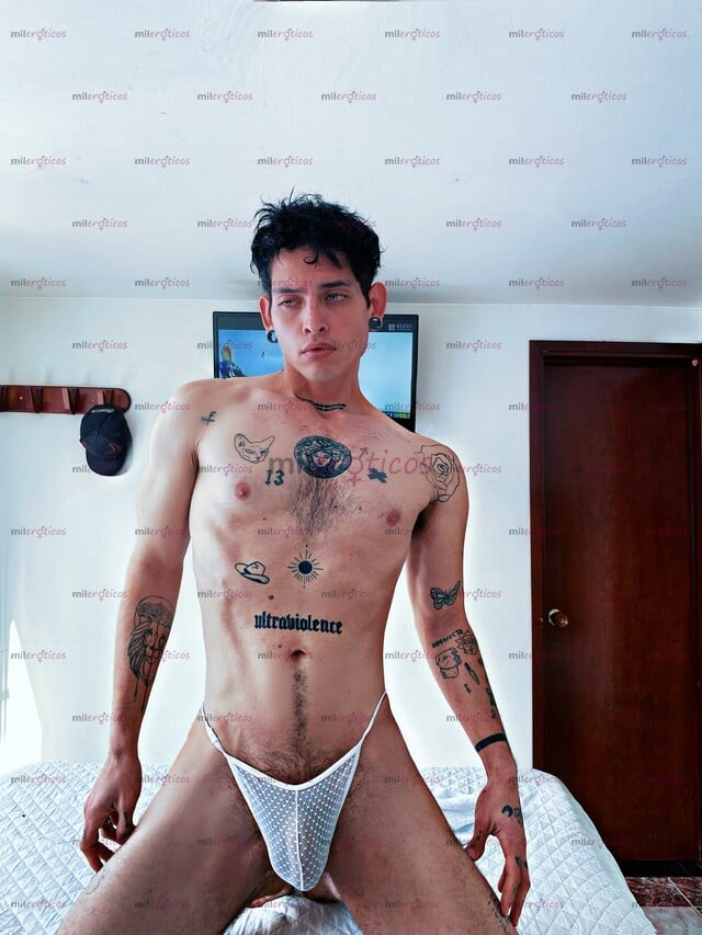 FOTOS DE 21CM DOTADO VELLUDO Y LECHERO DISPONIBLE