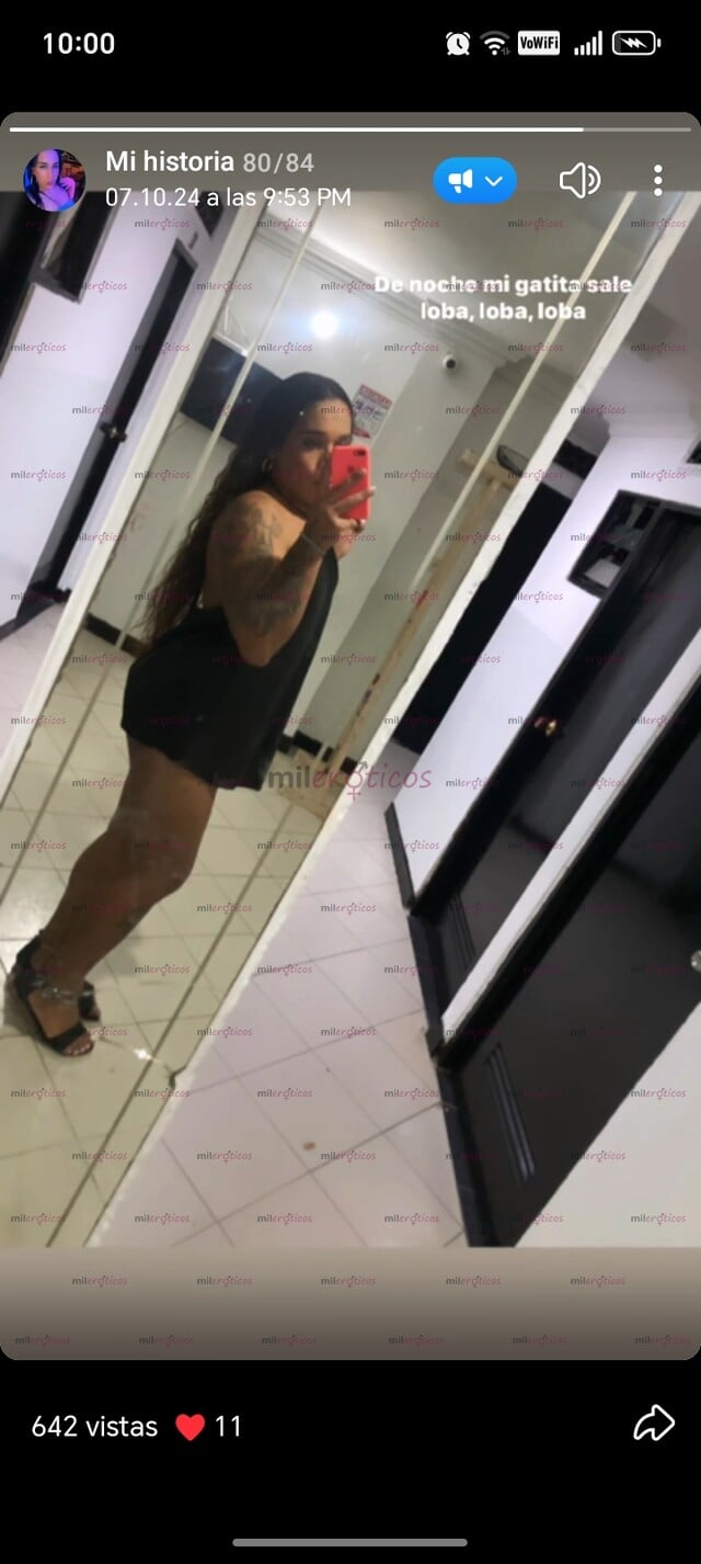 FOTOS DE ABBY, EXOTICA COMPLACIENTE, VEN Y BESA TODO MI CUERPO MAMO TU PENE SIN PARAR
