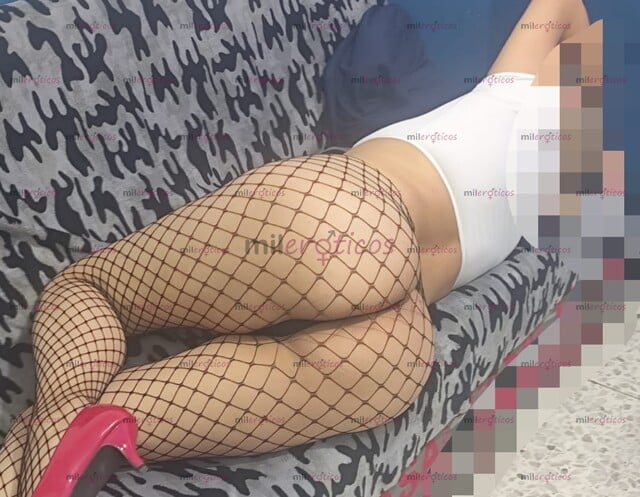FOTOS DE SERVICIO GARANTIZADO, SIENTE MI PERRITO $500$