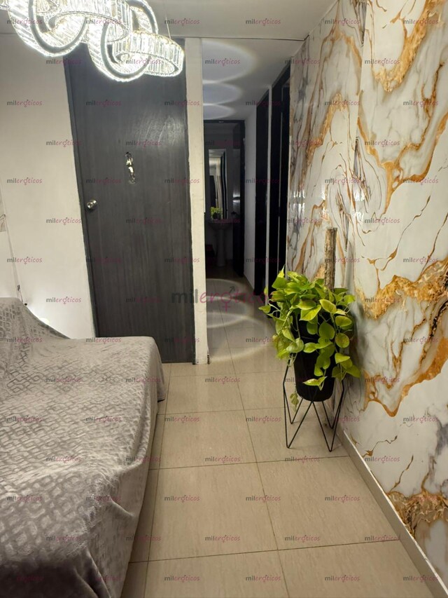 FOTOS DE APT EN LAURELES LA CASTELLANA BUSCA CHICA AQUI NO PAGAS PUBLICIDAD N FOTOS