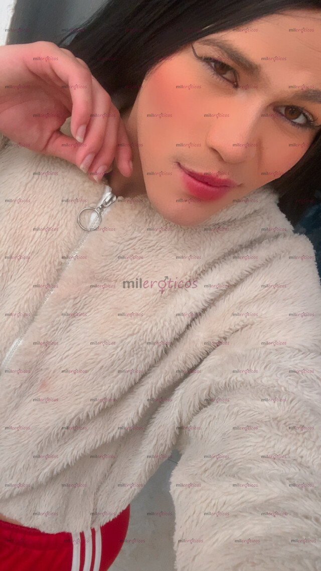 FOTOS DE TU TRANS ARRECHA PA SACARTE LA LECHE Q ESPERAS Y DISFRUTA Y COMPLIR TUS DESEOS
