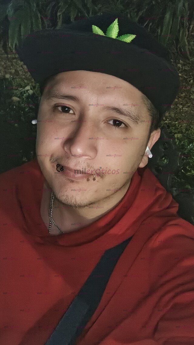 FOTOS DE CHACALON 20 CM PA COMPLACERTE TUS FANTACIAS