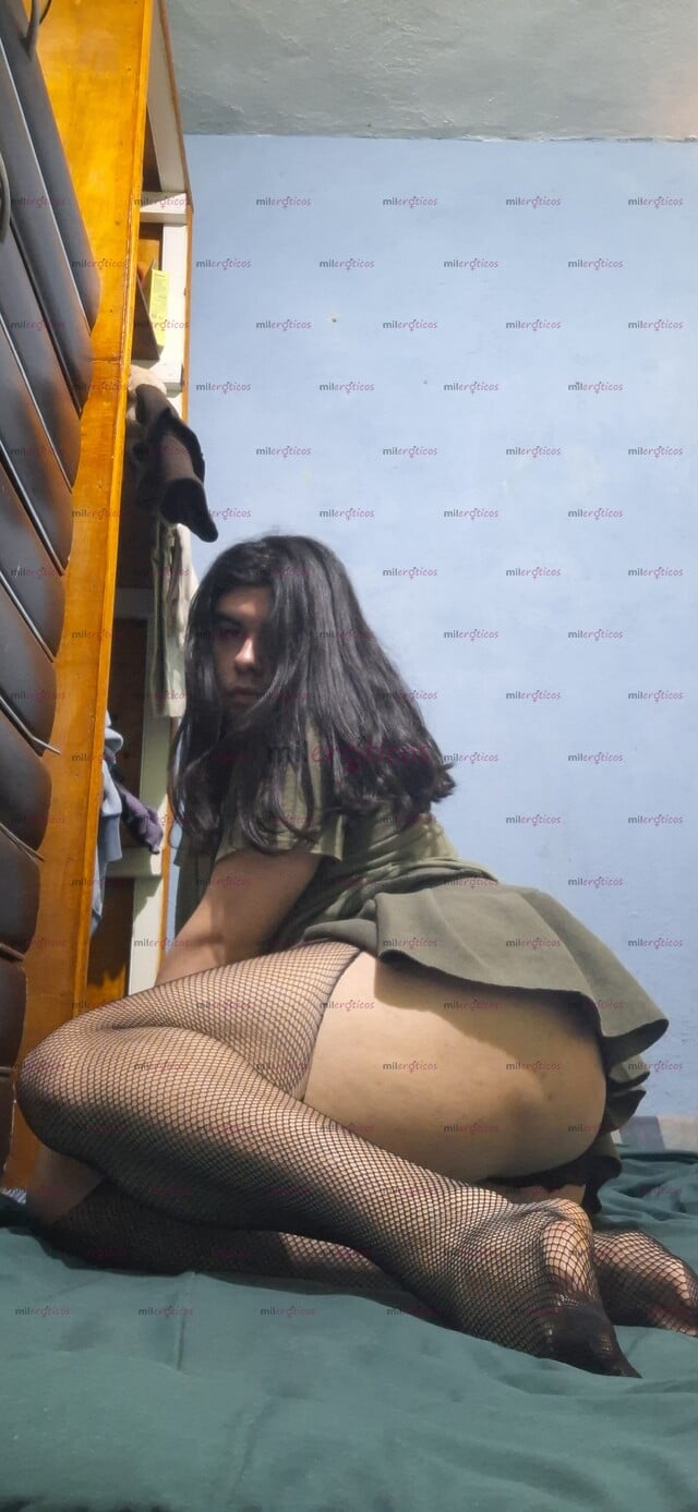 FOTOS DE TRAVESTI RECIEN INICIDADA GORDITA PASIVA CON PENE PEQUEÑO