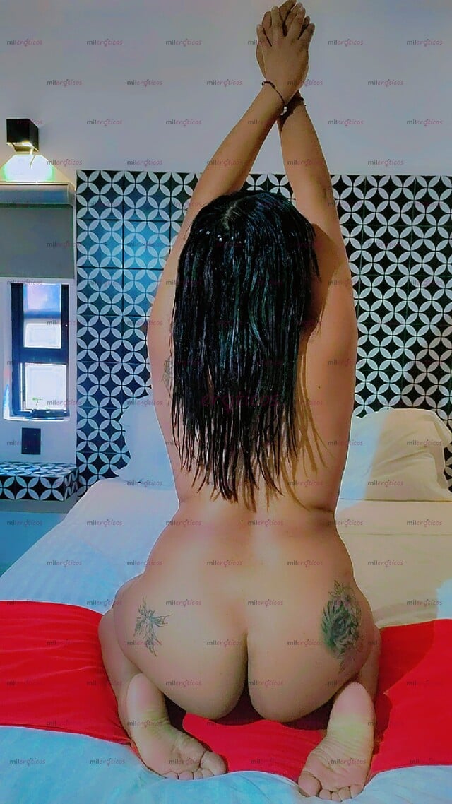 FOTOS DE MIRANDA MORENA CACHONDA DISCRETA INICIANDO CON LA PUCHA BIEN CALIENTE