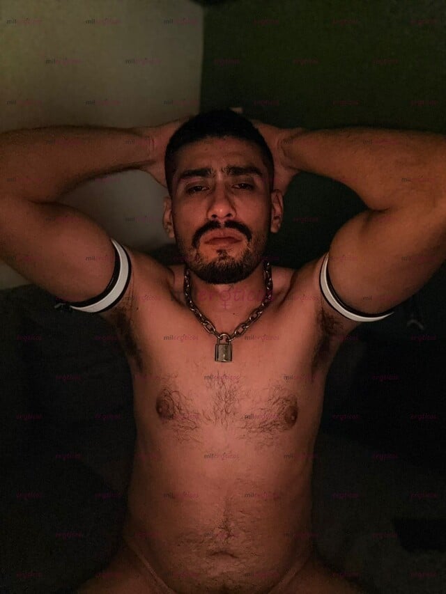 FOTOS DE VERSATIL 50 50 1.83M DE PURA BUENNA VIBRA, BARBA. VERSÁTIL, NOBLE.