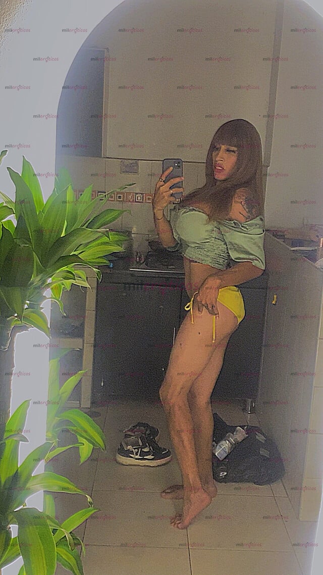 FOTOS DE TRANS VERSÁTIL DISPUESTA A SASTIFACER TUS DESEOS