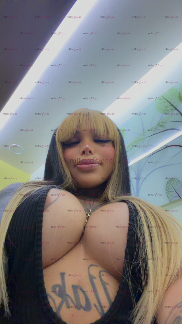 FOTOS DE KITTY DOLL BELLA PRINCESA TRANS DISPONIBLE 24 7