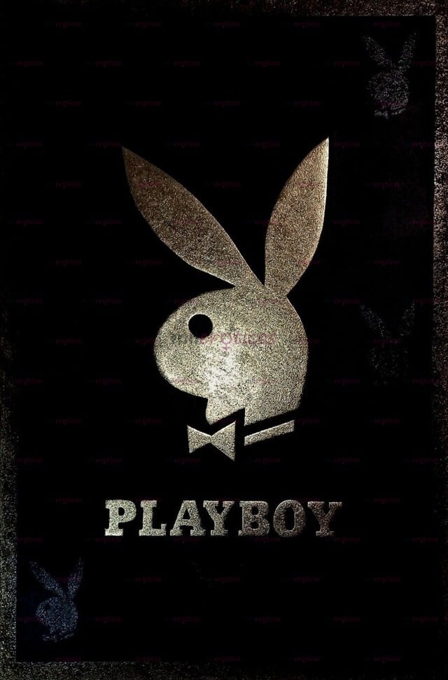 FOTOS DE AGENCIA ABRE CONVOCATORIAS! HAZ PARTE DE LA CASA CONEJITAS PLAY BOY