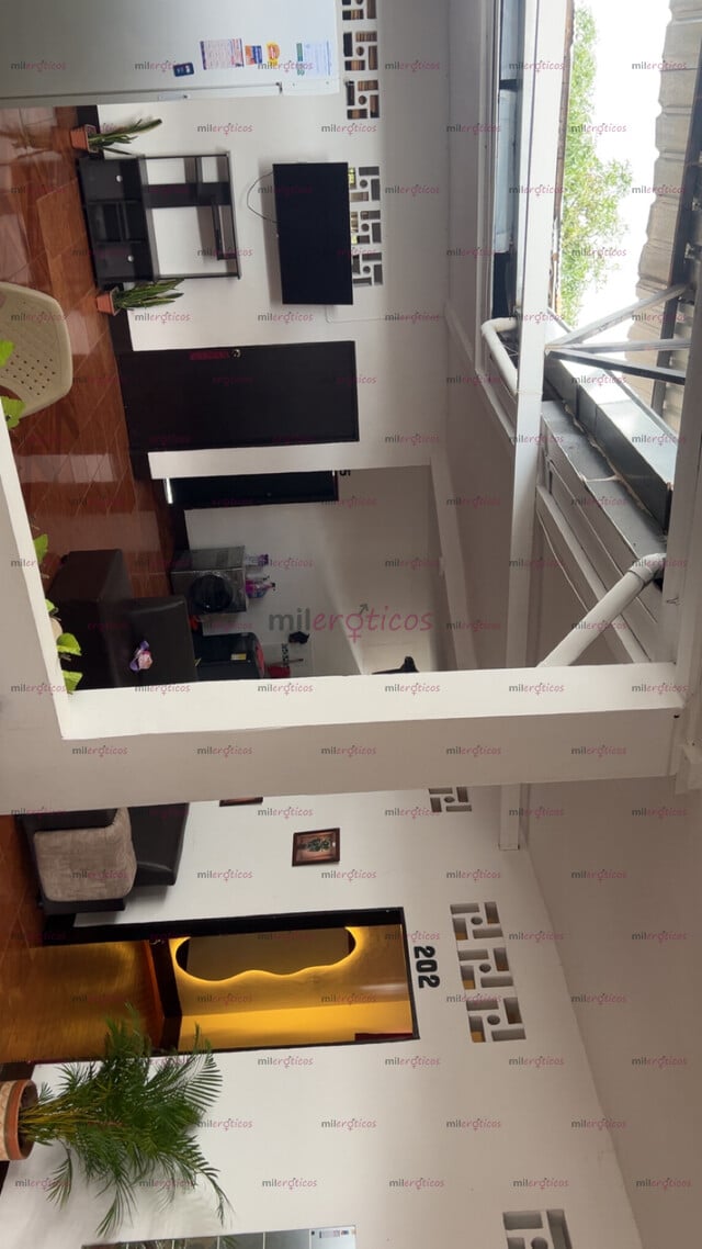FOTOS DE HABITACIONES AMOBLADAS PARA TUS CLIENTES