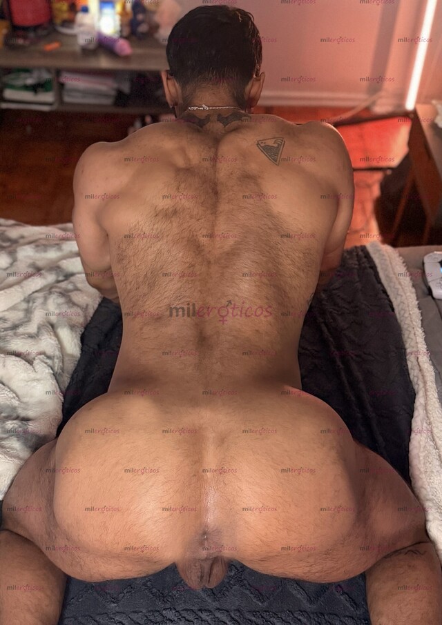 FOTOS DE CULÓN VERGON DEL NORTE FIESTERO DISPONIBLE