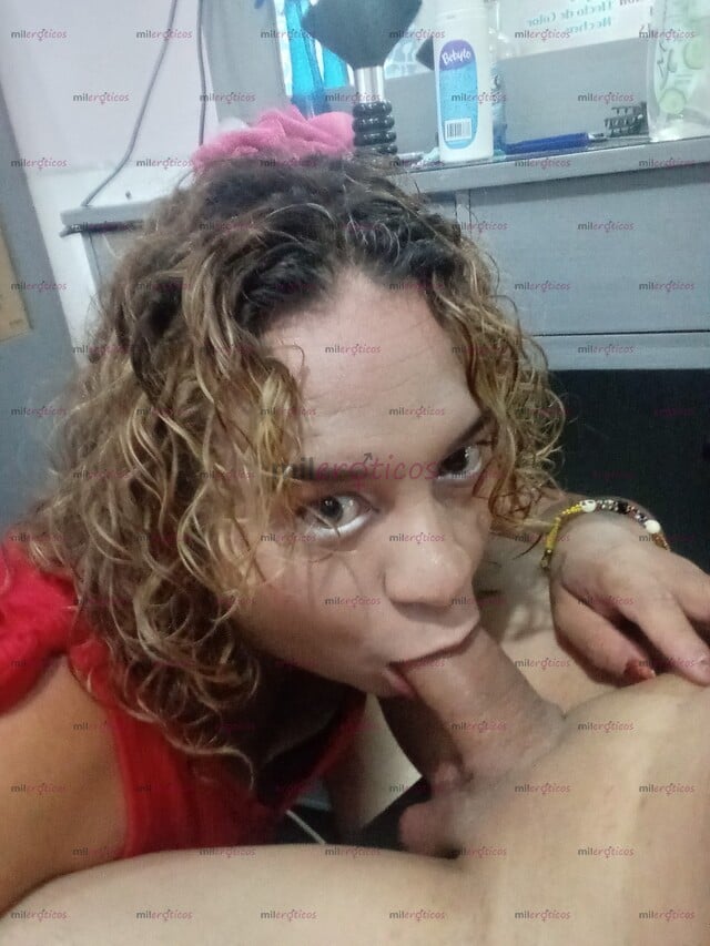 FOTOS DE LA COMPAÑIA PERFECTA PARA TU CAMA VEN Y COMPRUEBA