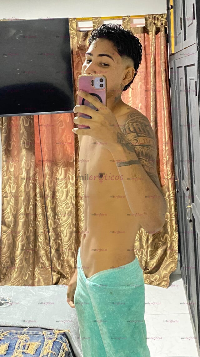 FOTOS DE POLLO PINTA UNIVERSITARIO DISPONIBLE PARA CUMPLIR TUS CAPRICHOS