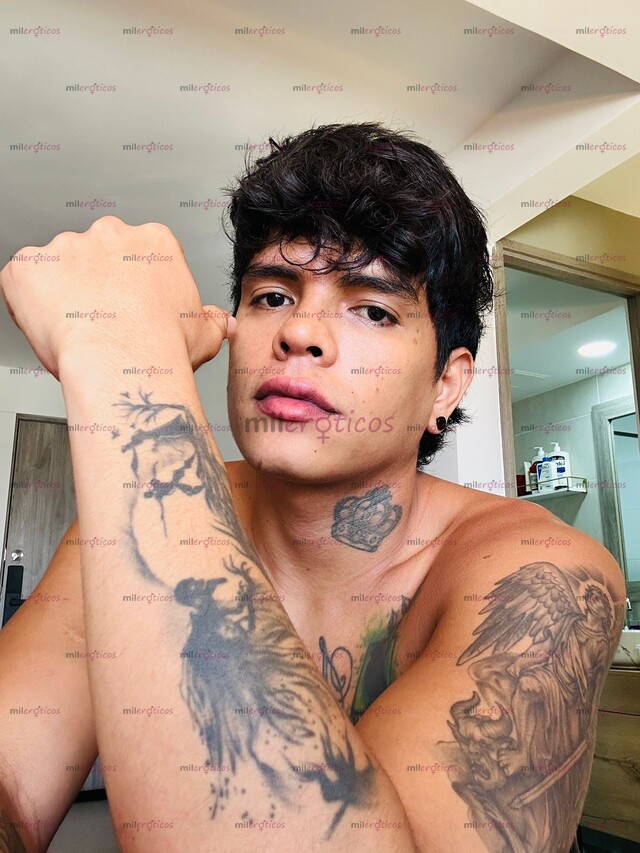 FOTOS DE UNIVERSITARIO POLLO VERGON VERSATIL LECHERO
