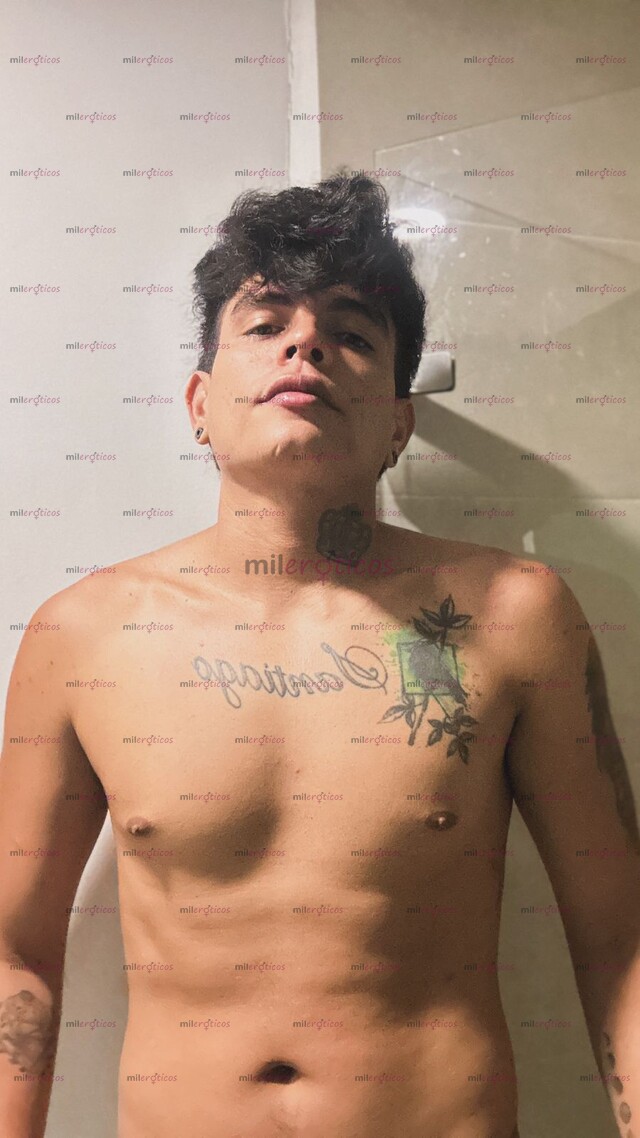 FOTOS DE UNIVERSITARIO POLLO VERGON VERSATIL LECHERO
