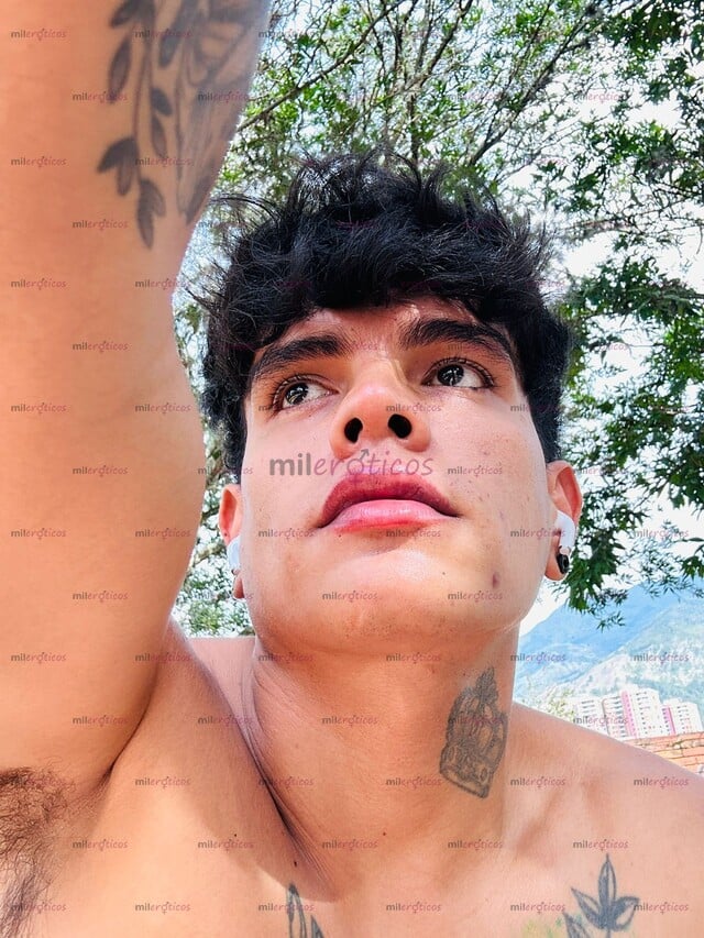 FOTOS DE UNIVERSITARIO POLLO VERGON VERSATIL LECHERO