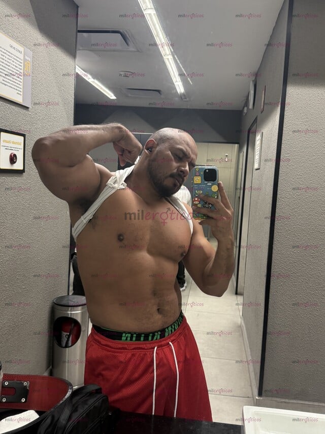 FOTOS DE NICOLÁS CHACAL VERGON LLENO DE LECHE SEMENTAL PARA MONTAR HEMBRAS