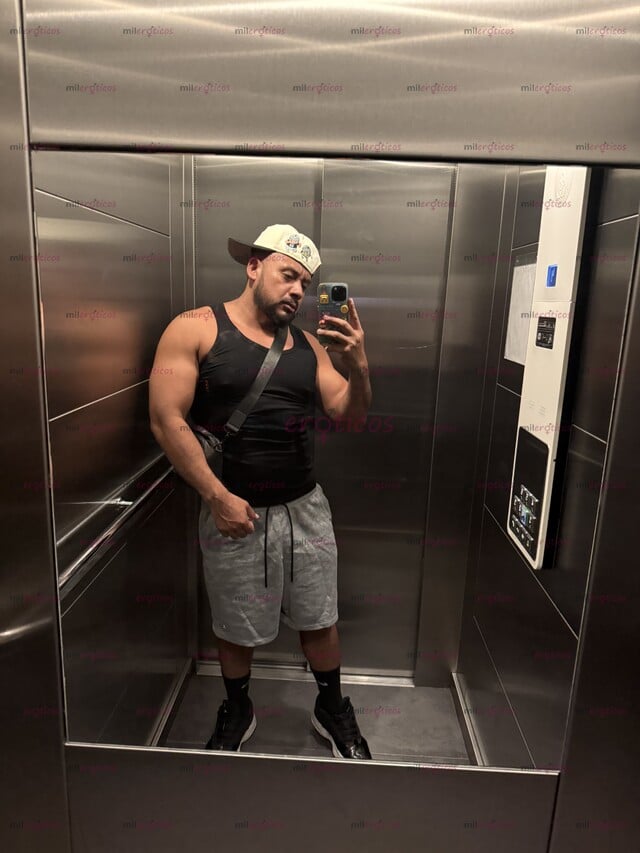 FOTOS DE NICOLÁS CHACAL VERGON LLENO DE LECHE SEMENTAL PARA MONTAR HEMBRAS