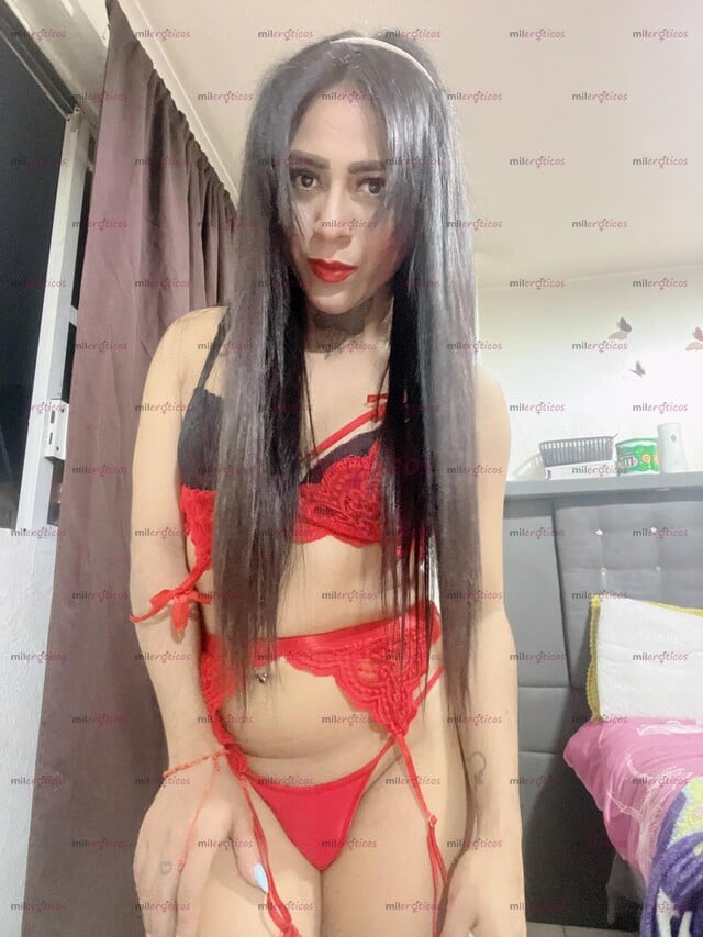 FOTOS DE CIUDAD DE MÉXICO CIUDAD DE MÉXICO CHICA TRANSEXUAL A EN TOLPASIVA INTER Y ACTIVA