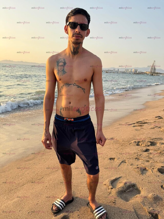 FOTOS DE MORRO TATUADO CON 19CM GUAPILLO LISTO PARA ATENDERTE