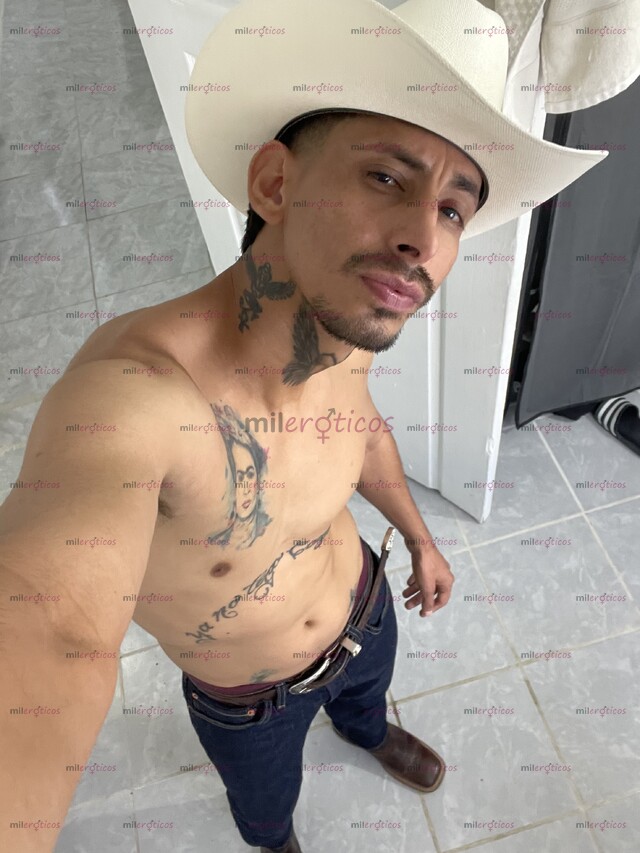 FOTOS DE MORRO TATUADO CON 19CM GUAPILLO LISTO PARA ATENDERTE