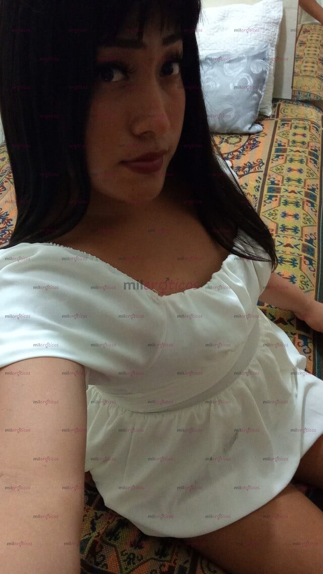 FOTOS DE CHICA TRAVESTI COGELONA AQUÍ EN TU CIUDAD