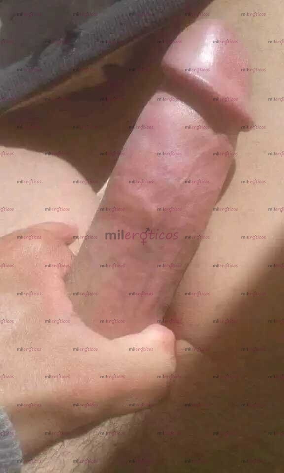 FOTOS DE CATALINA NUEVA EN BOGOTA ACTIVA LECHERA RECULIONAA ARRECHA EN LA CAMA SEXO ORAL