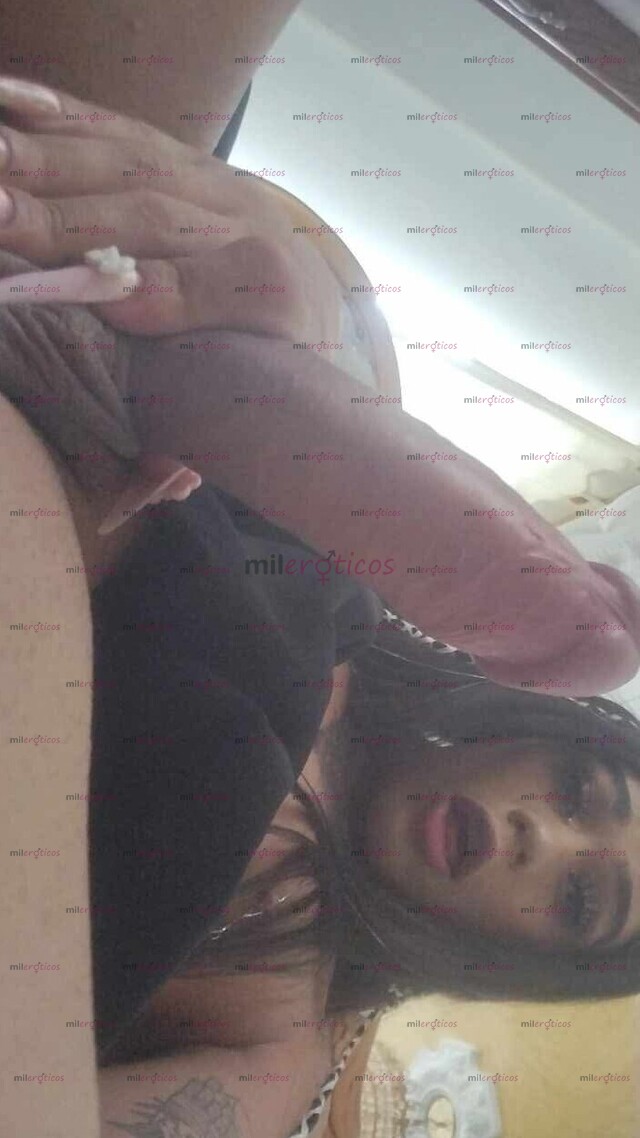 FOTOS DE TRANS FEM LLENA DE DESEOS POR CUMPLIR NO PIERDAS MÁS EL