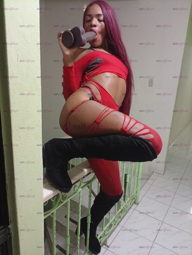 FOTOS DE CARTAGEBERS NUEVA EN TU CIUDAD ACTIVA PASIVA COMPLACIENTE