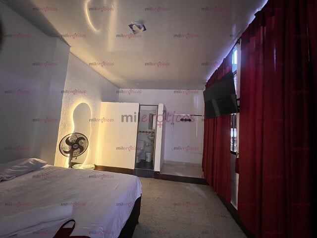 FOTOS DE HABITACIONES CÓMODAS Y AMOBLADAS EN UN AMBIENTE SEGURO, COMODIDAD Y TRANQUILIDAD