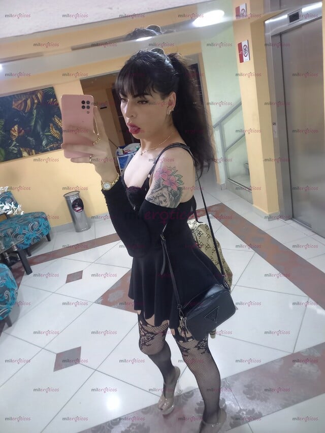 FOTOS DE DE VUELTA EN TU ZONA ALEXA SOTO 18CM DE AMOR BLANQUITA ULTIMOS DIAS 5634797285