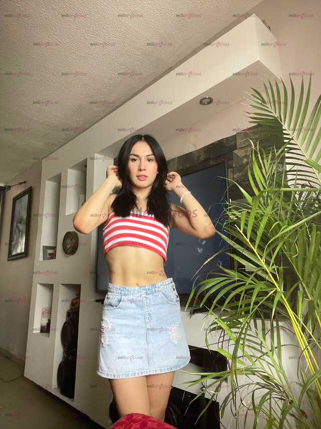 FOTOS DE BARBIE DE LUJO PRECIO EN PROMOCIÓN APROVECHA SOLO POR HOY