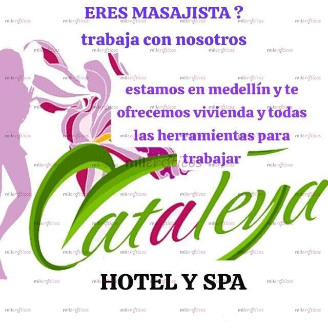 FOTOS DE SOLICITO MASAJISTAS EROTICA CON O SIN EXPERIENCIA 18 A 30 AÑOS.