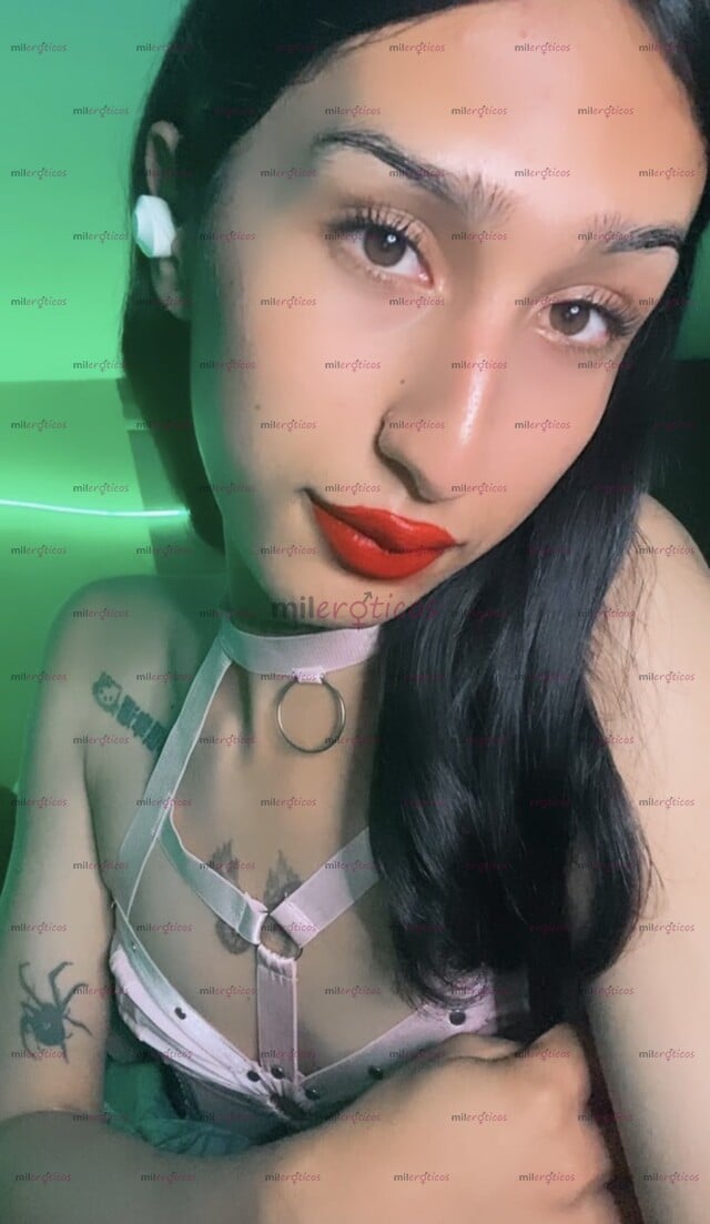 FOTOS DE LINDA NIÑA TRANS DE 19 AÑITOS PARA COMPLACERTE ( SOLO SOLVENTES)