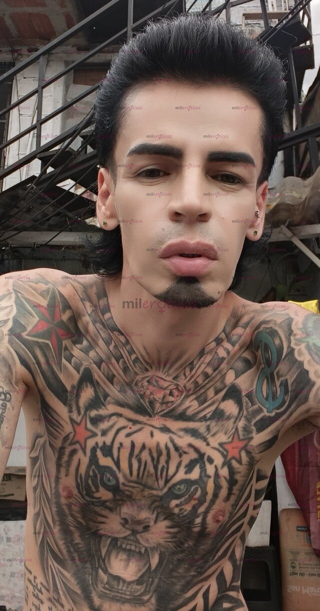 FOTOS DE FLACO TATUADO VERGON ACTIVO MORBOSO LECHERO
