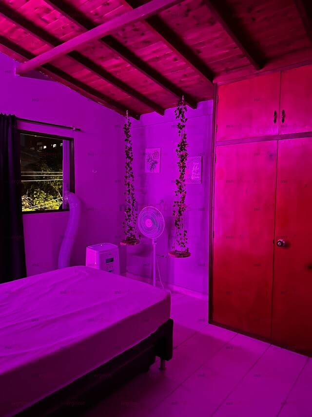 FOTOS DE BUSCO COMPAÑERA DE APARTAMENTO A DOS CUADRAS DEL VIVA LAURELES