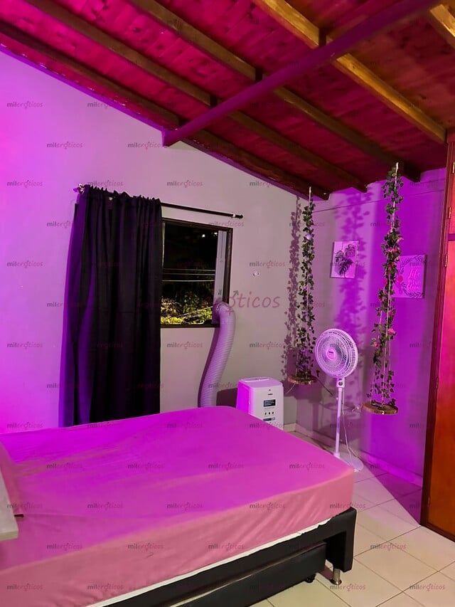 FOTOS DE BUSCO COMPAÑERA DE APARTAMENTO A DOS CUADRAS DEL VIVA LAURELES