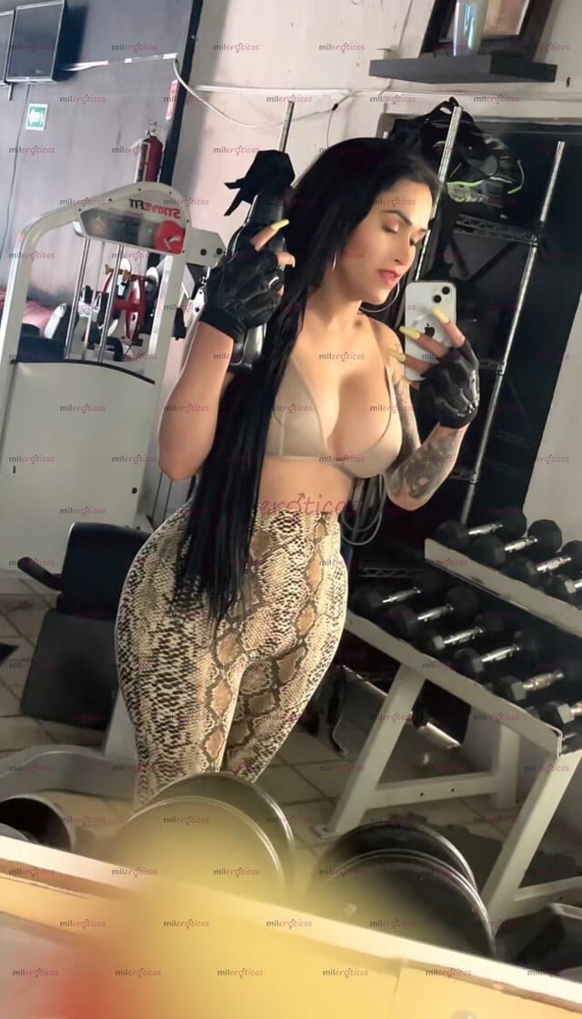 FOTOS DE AFRODITA NEGRETE CHICA TRANS DISPUESTA A TODO