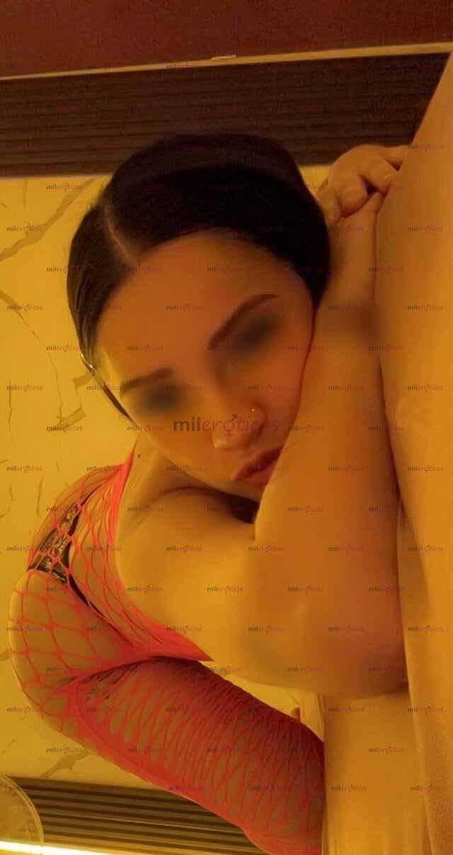 FOTOS DE FER, I