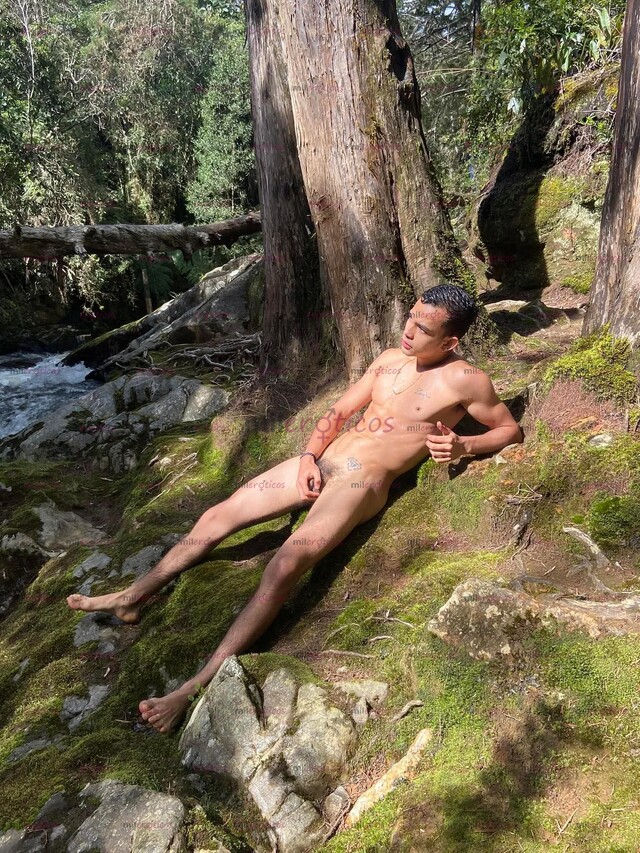 FOTOS DE EXCLUSIVO POLLO DISCRETO COLOMBIANO 24 HORAS DISPONIBLE