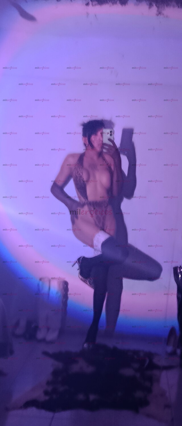 FOTOS DE LIVIA MUÑECA SOFISTICADA DELGADA COMO UNA BARBIE