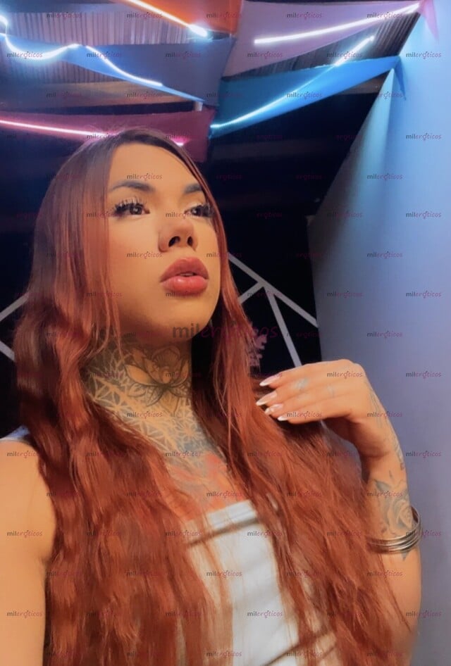 FOTOS DE SIN ENGAÑOS RECIÉN LLEGADA FEMENINA TATUADA COMPLACIENTE