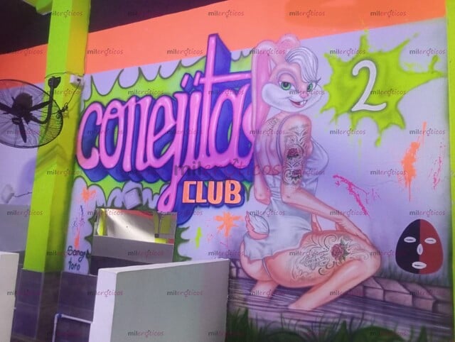 FOTOS DE CLUB CONEJITAS V.I.P BUSCA CHICAS TURNOS FICHAS .ALIMENTACIÓN. VIVIENDA .WIFFI