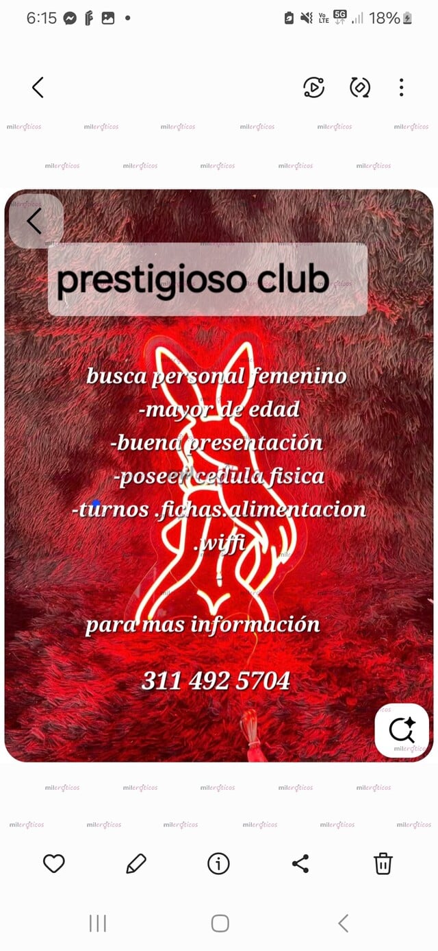 FOTOS DE CLUB CONEJITAS V.I.P BUSCA CHICAS TURNOS FICHAS .ALIMENTACIÓN. VIVIENDA .WIFFI