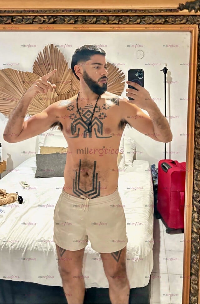 FOTOS DE ACTIVO EXÓTICO CHILENO VERGON LECHERO NUEVO EN TU CIUDAD